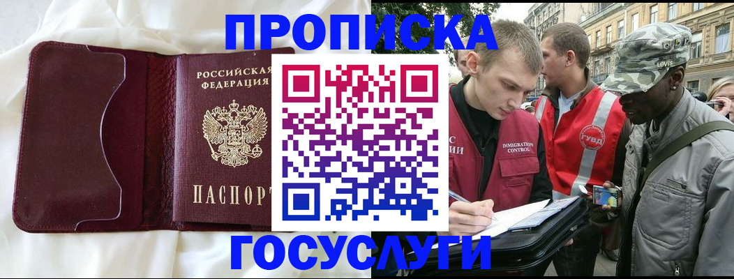 прописка законно в Могочи